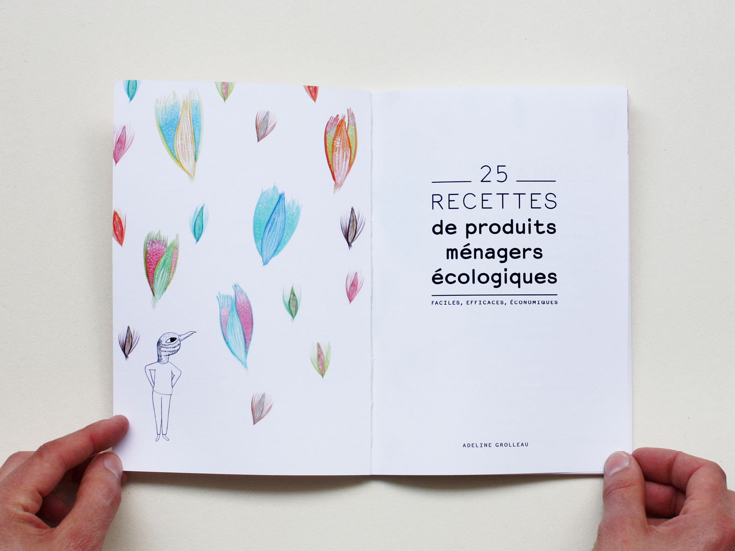 Livre 25 recettes de produits ménagers